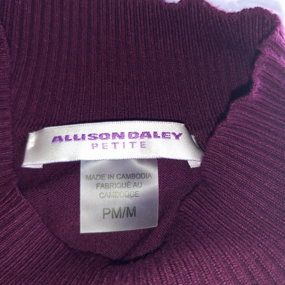 Women's Allison Daley petite medium wine color sweater NWOT vicose/nylon - Picture 5 of 6
